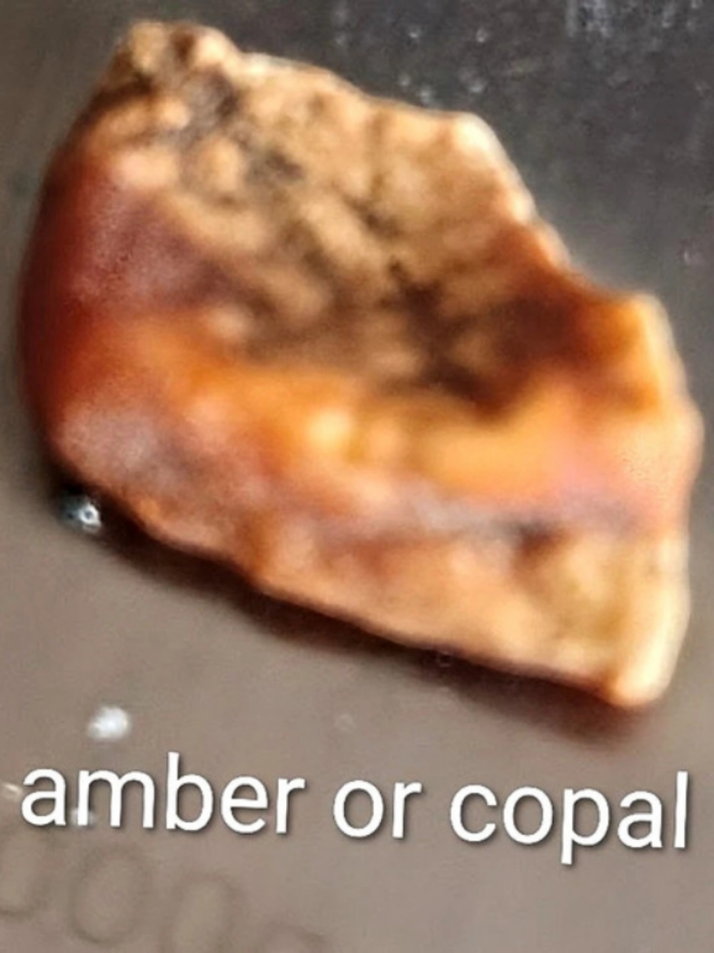 Amber or Copal Specimen Orange & Brown >1gr BUNDLE & SAVE